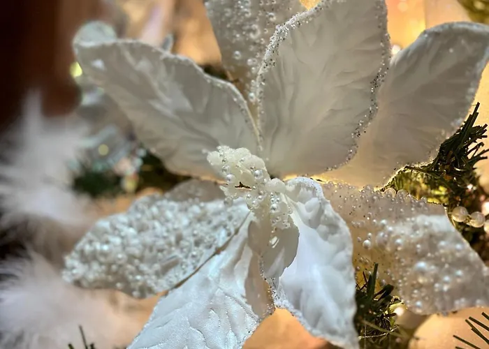 Hidden Bank: Digger's Dream *